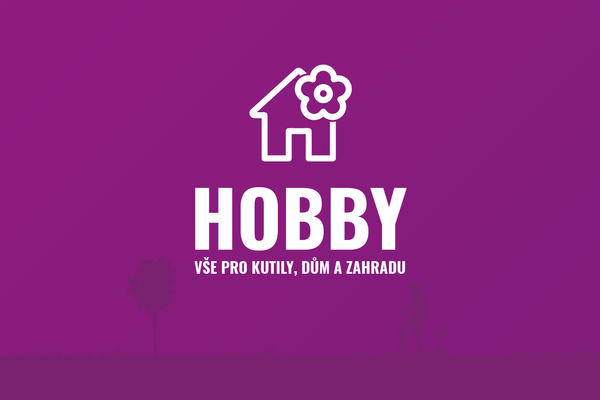 HOBBY 2027