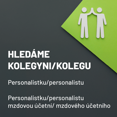 HLEDÁME KOLEGYNI/KOLEGU DO TÝMU