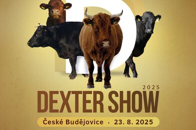 ZEMĚ ŽIVITELKA 2025: DEXTER SHOW 