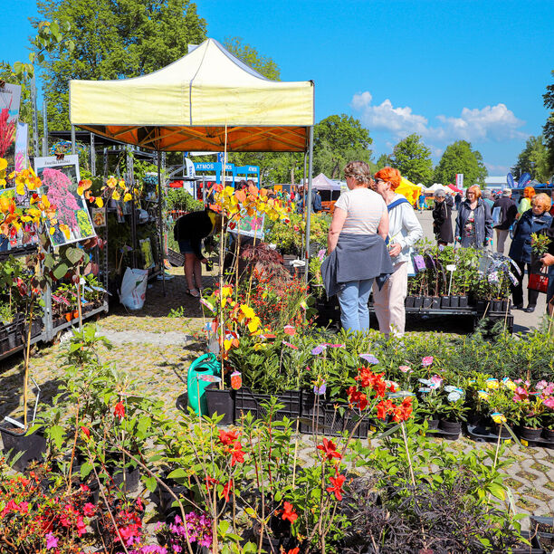 PORADENSTVÍ PRO VAŠI ZAHRADU I BALKON
