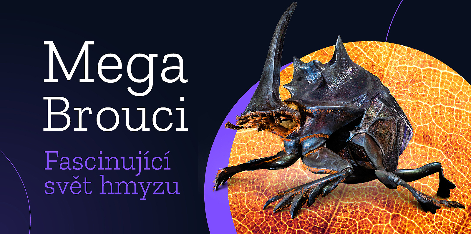 MEGABROUCI