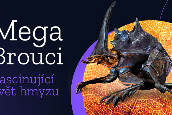 MEGABROUCI
